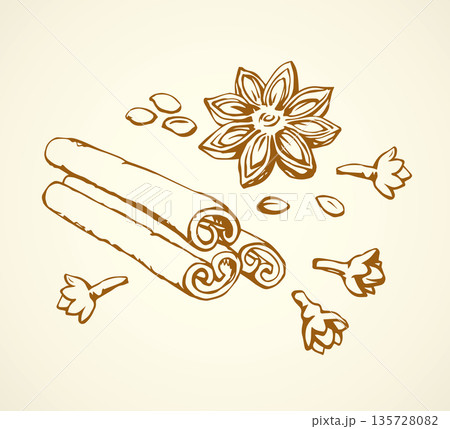 Anise. Vector drawing 135728082