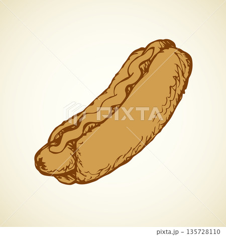 Hot Dog. Vector drawing Hot Dog. Vector drawing 135728110
