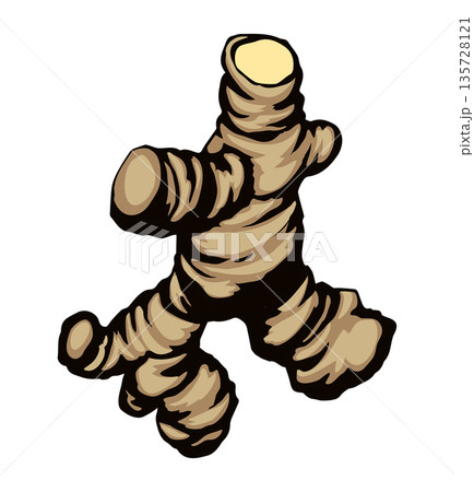 Ginger. Vector drawing food object Ginger. Vector drawing food object 135728121