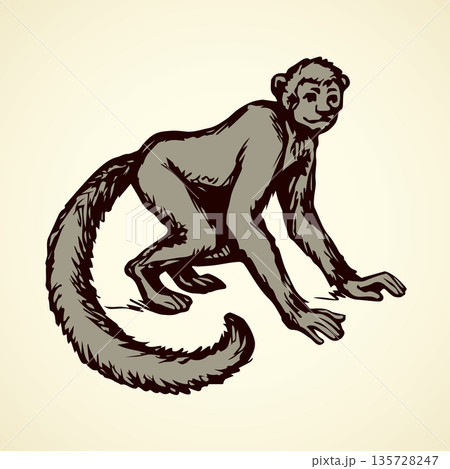 Lemur. Vector illustration 135728247