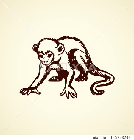 Chimpanzee. Vector illustration 135728248