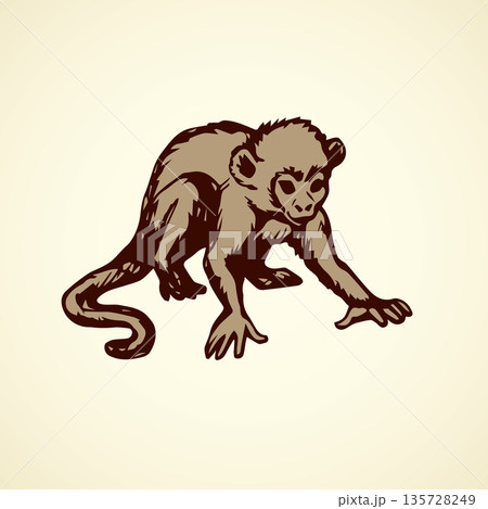 Chimpanzee. Vector illustration 135728249