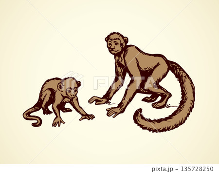 Lemur. Vector illustration 135728250