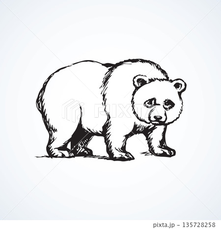 Panda. Vector drawing Panda. Vector drawing 135728258