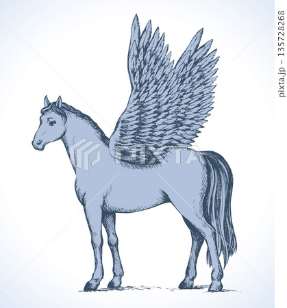 Pegasus. Vector drawing 135728268