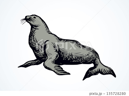 Seal. Vector drawing 135728280
