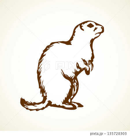 Groundhog. Vector illustration Groundhog. Vector illustration 135728303