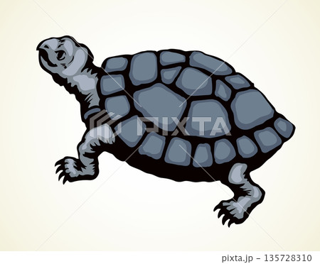 The little turtle is crawling. Vector drawing 135728310