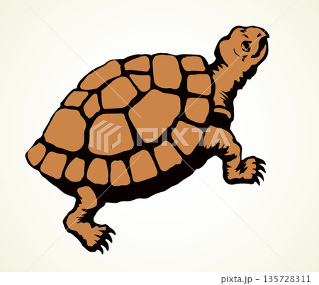 The little turtle is crawling. Vector drawingのイラスト素材 [135728311] - PIXTA