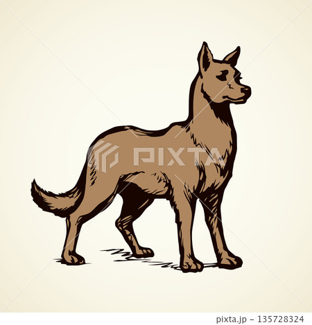 Wolf. Vector drawing 135728324