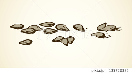 Sesame. Vector drawing 135728383