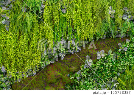 Background of green plants from plastic.  135728387