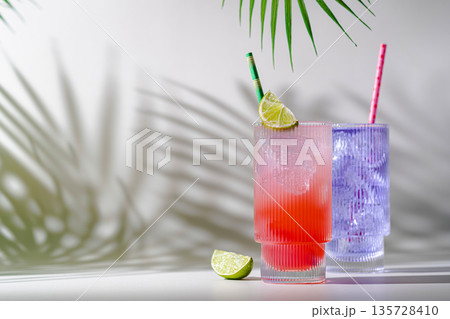 Summer refreshing drink. Summer refreshing drink. 135728410