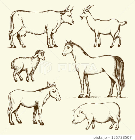 Farm animals. Vector drawing Farm animals. Vector drawing 135728507