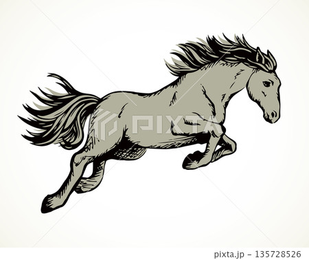 Galloping horse. Vector drawing icon Galloping horse. Vector drawing icon 135728526