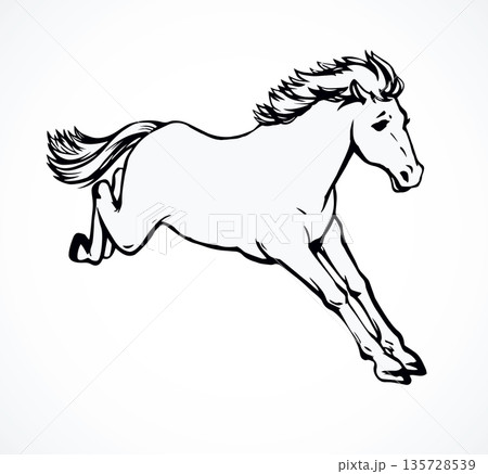 Horse racing. Vector drawing Horse racing. Vector drawing 135728539