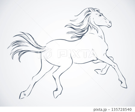 Prancing horse. Vepktorny drawing 135728540