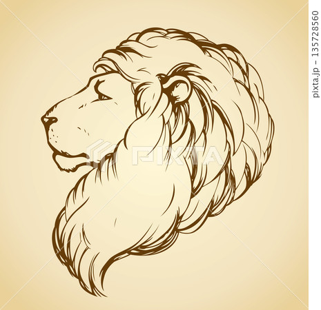 Lion. Vector drawing Lion. Vector drawing 135728560