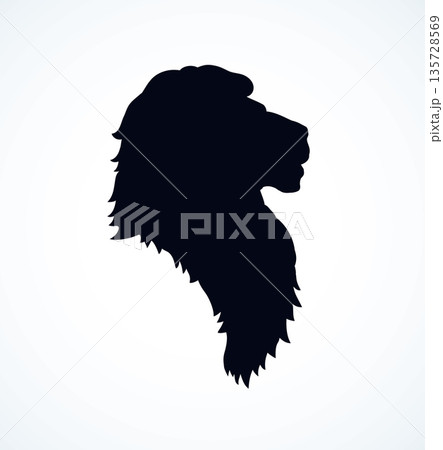 Lion. Vector drawing Lion. Vector drawing 135728569