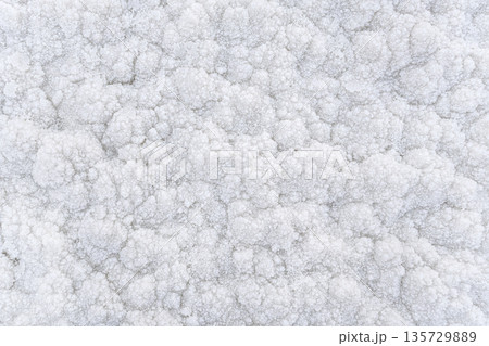 White crystalline salt closeup detail on Ein Bokek beach at Dead Sea - world most hypersaline lake White crystalline salt closeup detail on Ein Bokek beach at Dead Sea - world most hypersaline lake 135729889