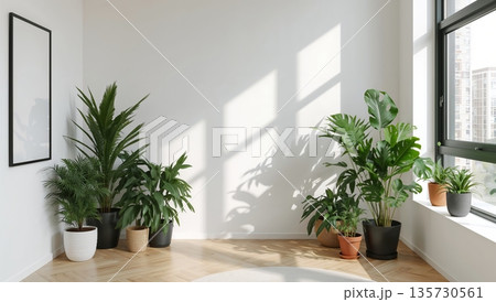 Indoor Plants Arranged in a Sunny Corner of a Modern Room With Large Windows 135730561
