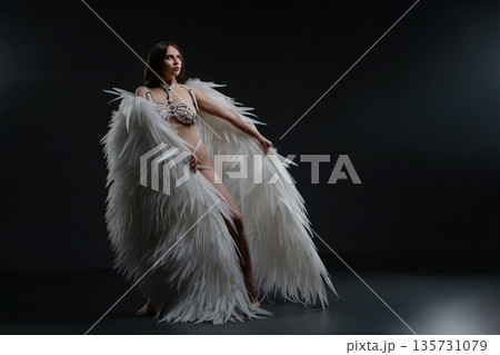 Elegant woman in white angel wings and harness poses dramatically in a dark studio. Elegant woman in white angel wings and harness poses dramatically in a dark studio. 135731079