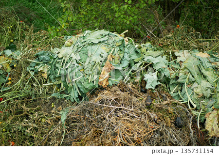 Composting vegetables organic domestic waste, trash of cabbage kohlrabi bio kale and fruits from the garden and household compost. Waste management, conventional and emerging approaches. Valorization Composting vegetables organic domestic waste, trash of cabbage kohlrabi bio kale and fruits from the garden and household compost. Waste management, conventional and emerging approaches. Valorization 135731154