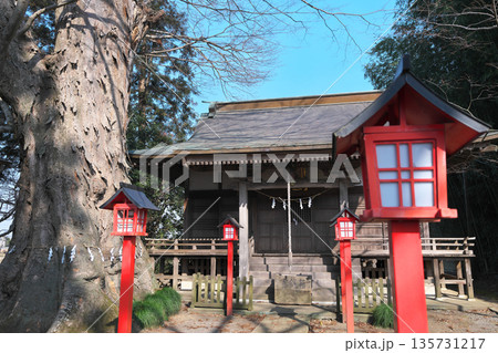 栃木県 北中八幡宮 初詣 栃木県 北中八幡宮 初詣 135731217