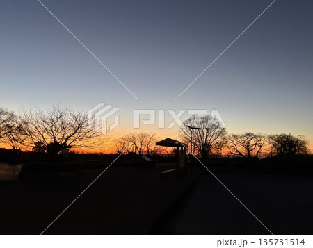 冬の大倉登山口から見る朝焼け 135731514