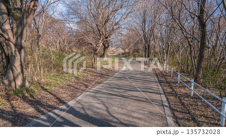 冬の背割堤　木津川河川敷の遊歩道　京都府八幡市 135732028