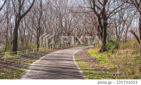 冬の背割堤 木津川河川敷の遊歩道 京都府八幡市 冬の背割堤 木津川河川敷の遊歩道 京都府八幡市 135732033