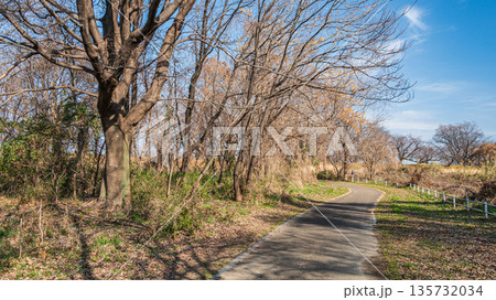 冬の背割堤　木津川河川敷の遊歩道　京都府八幡市 135732034