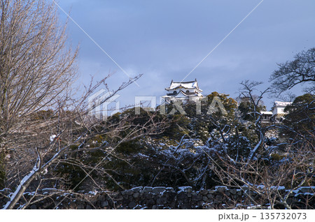 雪の彦根城 135732073