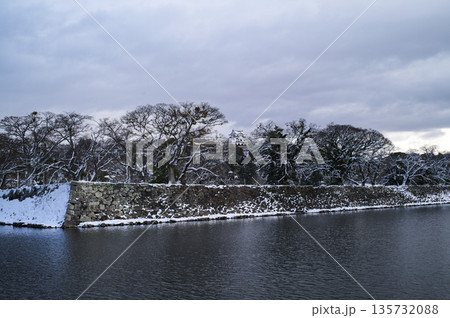 雪の彦根城 135732088