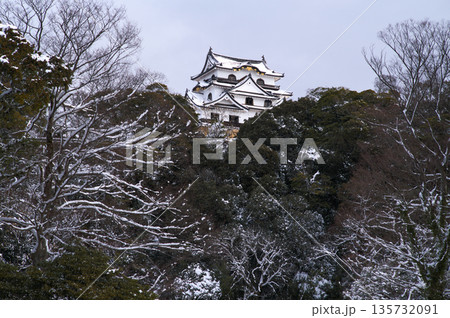 雪の彦根城 135732091