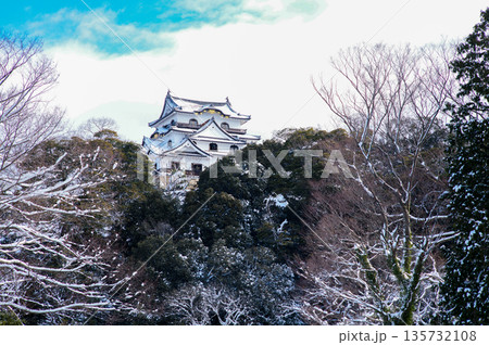 雪の彦根城 雪の彦根城 135732108