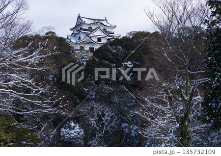 雪の彦根城 雪の彦根城 135732109