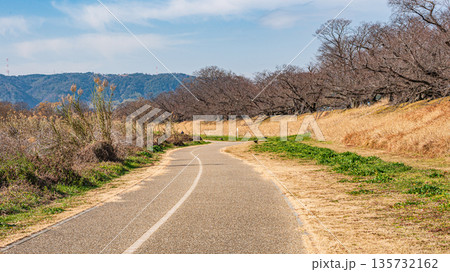 冬の背割堤　木津川河川敷の遊歩道　京都府八幡市 135732162
