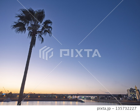 夕暮れのグラデーションが美しい堺の港とヤシの木 夕暮れのグラデーションが美しい堺の港とヤシの木 135732227