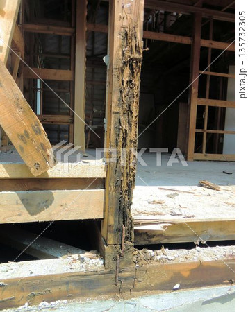 シロアリ被害で劣化した木造住宅の柱 135732305