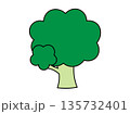 ブロッコリー 135732401