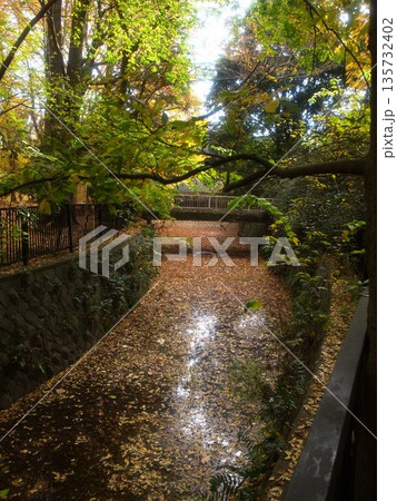 秋の武蔵関公園 135732402