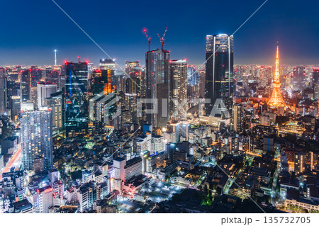 「東京都」東京都心の都市夜景眺望 135732705