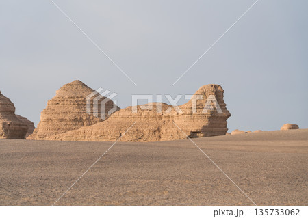 敦煌ヤルダン国家地質公園 雅丹スフィンクス 敦煌ヤルダン国家地質公園 雅丹スフィンクス 135733062