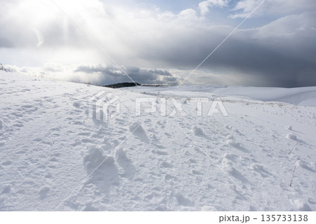 鳥取砂丘の雪景色  135733138
