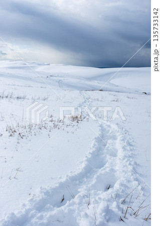鳥取砂丘の雪景色 鳥取砂丘の雪景色 135733142