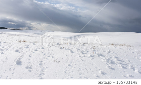 鳥取砂丘の雪景色 鳥取砂丘の雪景色 135733148