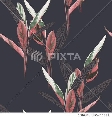Foliage seamless pattern, heliconia Ctenanthe oppenheimiana plant on dark grey Foliage seamless pattern, heliconia Ctenanthe oppenheimiana plant on dark grey 135733451