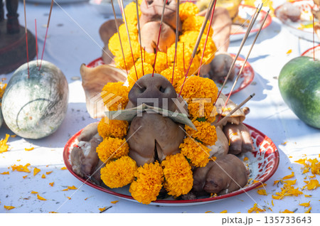 Close up of sacrifice pig head decorated with yellow flowers on the table for offering to the god or angel in mixed culture of Buddhist and Hindu religion in Thailand. 135733643