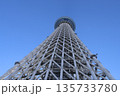 下から見上げたスカイツリー 135733780